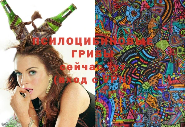 ECSTASY Армянск