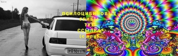 2c-b Арсеньев