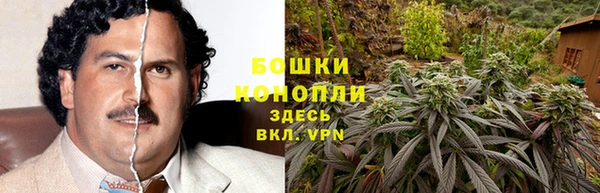 ECSTASY Армянск