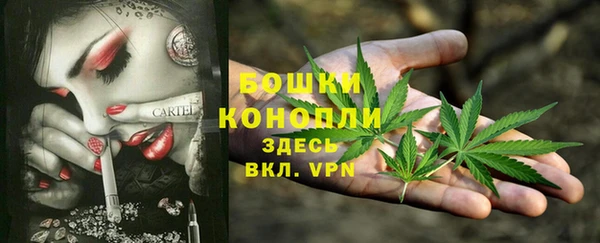 ECSTASY Армянск