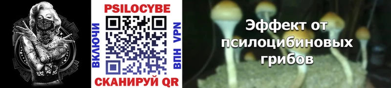 Псилоцибиновые грибы MAGIC MUSHROOMS  блэк спрут как войти  дарк нет телеграм  Сарапул 